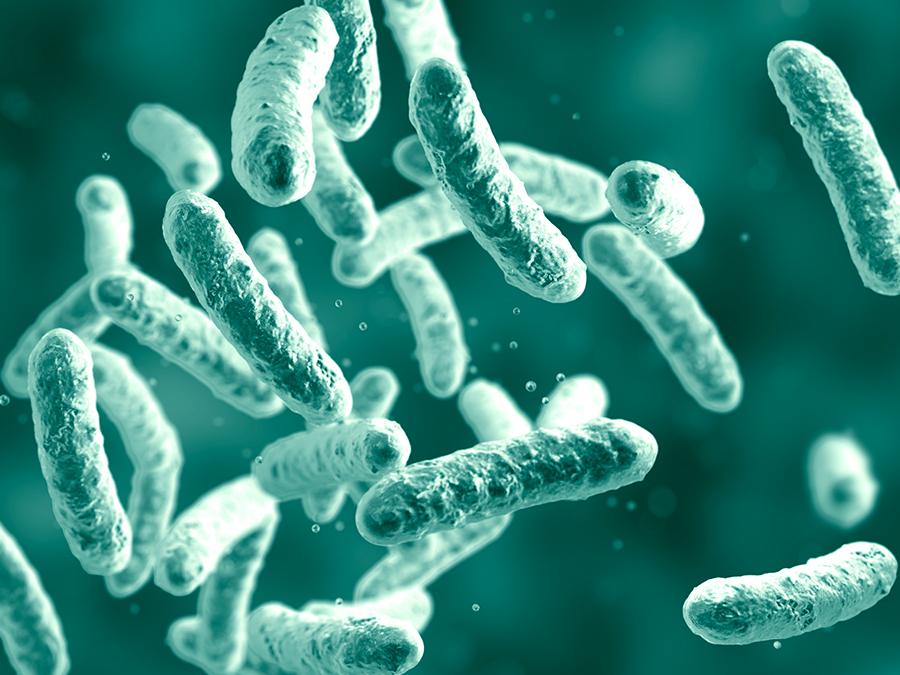 Probiotic-definitions-and-skin